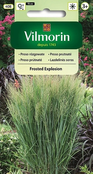 Vilmorin proso-rozgowate-frosted-explosion nasiona sklep rajogrodnika